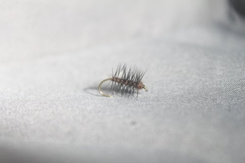 Fegisen /The coward #12