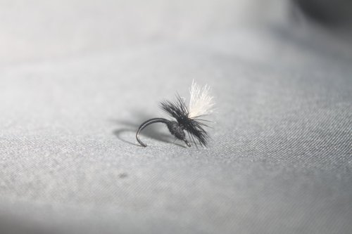 Svart Klinkhammer #14