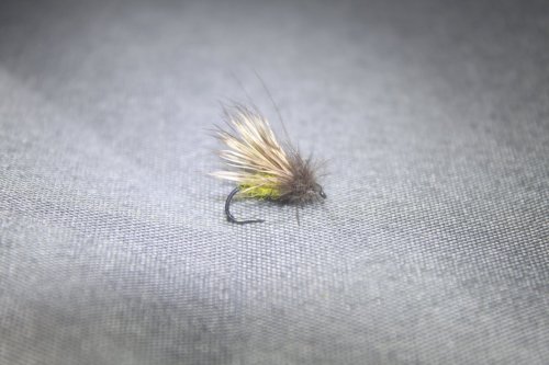Streaking Caddis  Gul #16