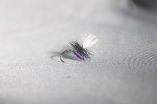 Lila Klinkhammer #14