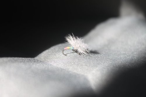 Rainbow warrior Klinkhammer #18