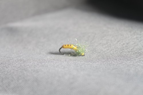 Gul czech nymph #14